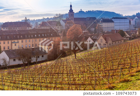 Old Town of Bamberg, Bavaria, Germany 109743073