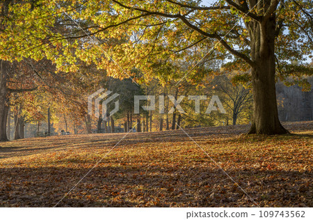 late fall sunrise on a shore of the Tennessee River in Colbert Ferry Park, Natchez Trace National Parkway 109743562