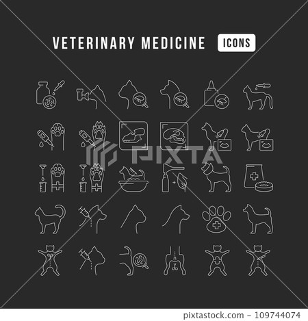 Set of linear icons of Veterinary Medicine Set of linear icons of Veterinary Medicine 109744074