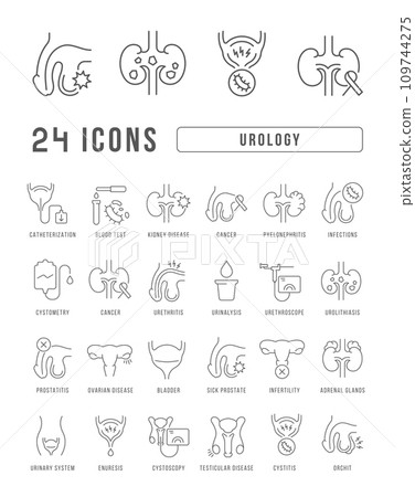 Set of linear icons of Urology 109744275