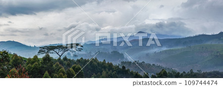 Lonely tree on sunrise in hills Lonely tree on sunrise in hills 109744474