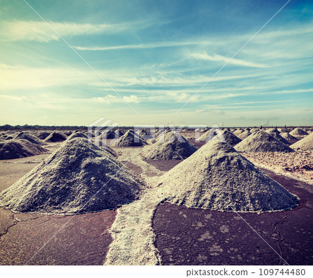 Salt mine at Sambhar Lake, Sambhar, Rajasthan, India 109744480