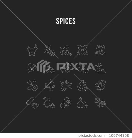 Set Vector Line Icons of Spices. 109744508