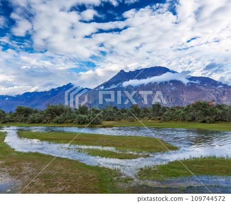 Nubra valley, Ladakh, India 109744572