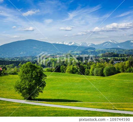 Road in pastoral countryside 109744590