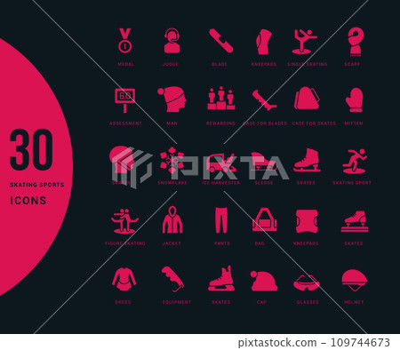 Set of Simple Icons of Skating Sports 109744673