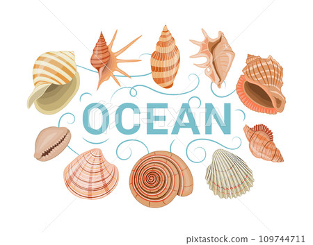 Vector cartoon banner template for sea theme of colorful seashells on white background. Vector cartoon banner template for sea theme of colorful seashells on white background. 109744711