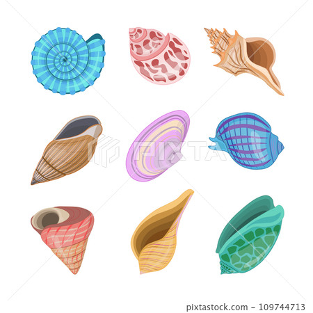 Collection of vector cartoon illustration of colorful seashells on white background. Collection of vector cartoon illustration of colorful seashells on white background. 109744713