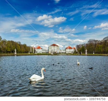 Swan and Nymphenburg Palace. Munich, Bavaria, Germany Swan and Nymphenburg Palace. Munich, Bavaria, Germany 109744750