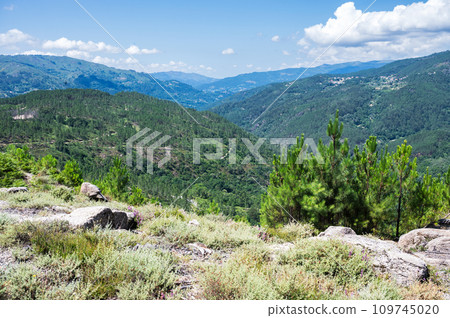 Landscapes of Peneda Geres National Park, North Portugal, view of the mountains, trees, selective focus Landscapes of Peneda Geres National Park, North Portugal, view of the mountains, trees, selective focus 109745020