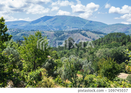 Landscapes of Peneda Geres National Park, North Portugal, view of the mountains, trees, selective focus Landscapes of Peneda Geres National Park, North Portugal, view of the mountains, trees, selective focus 109745037