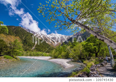 [Kamikochi during the fresh green season] Spectacular view of the Northern Alps from near Kappa Bridge 109745430