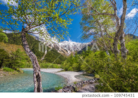 [Kamikochi during the fresh green season] Spectacular view of the Northern Alps from near Kappa Bridge 109745431
