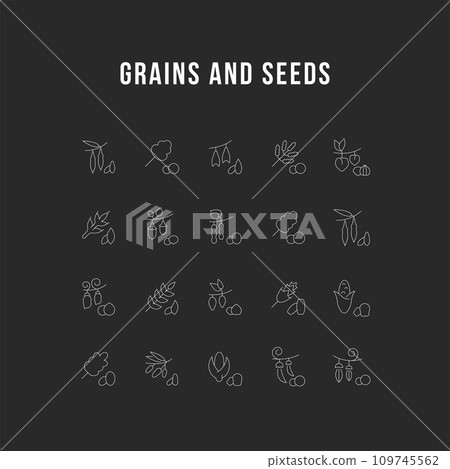 Set Vector Line Icons of Grains and Seeds 109745562