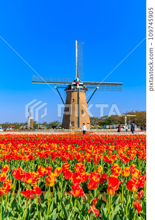 Chiba Prefecture, Sakura City, Sakura Furusato Square (Sakura Tulip Festa) 109745905