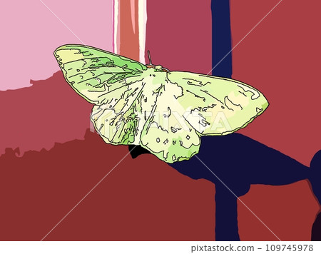 A green butterfly resting on a wall. 109745978