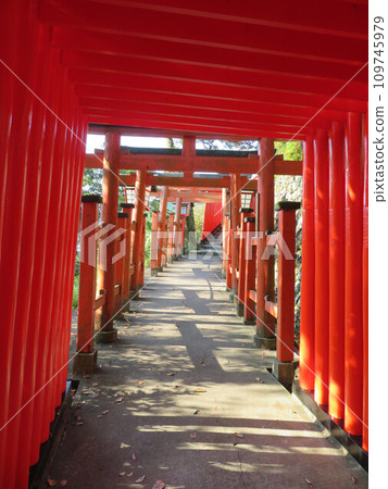 Senbon torii of Taotidani Inase Shrine 109745979