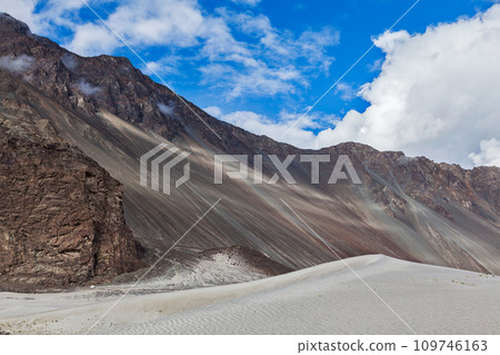 Sand dunes. Nubra valley, Ladakh, India 109746163