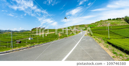 The path to the spring sky and spectacular observation deck, a green carpet as far as the eye can see, a fragrant scenic spot/Yame Chuo Tea Garden | 109746380
