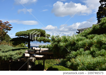 Yoshimineji Temple Yuryu no Matsu [Natural Monument] 109746573