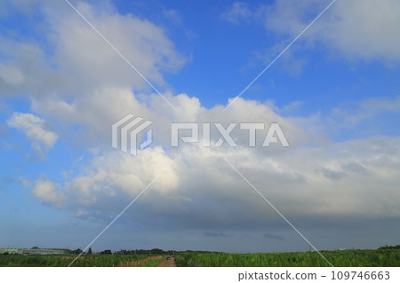 blue sky and white clouds 109746663