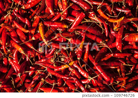 Red spicy chili peppers Red spicy chili peppers 109746726