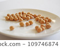 Dried soybeans 109746874