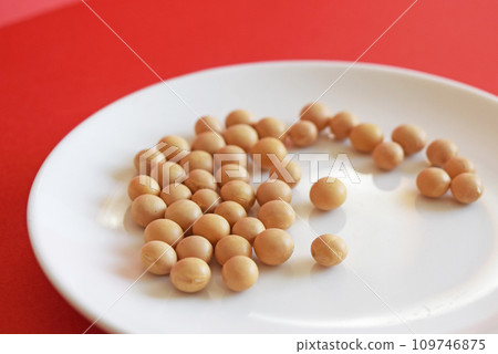 干大豆 干大豆 109746875
