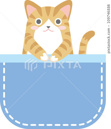 口袋裡的貓_查特拉白_藍口袋 109746886