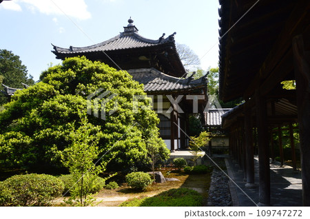 “Sariden (left)” and “Kakuden (right)” of Rokuo-in Temple (Saga Kitahori-cho, Ukyo-ku, Kyoto City) 109747272