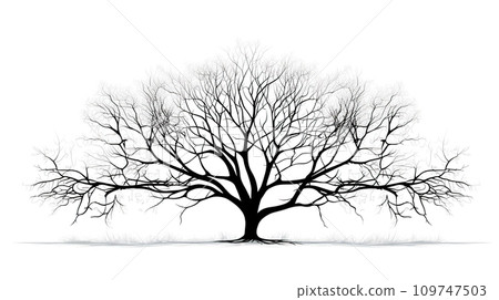 Tree. Tree silhouette isolated on white. Winter landscape with lonely tree isolated on white background. Tree. Tree silhouette isolated on white. Winter landscape with lonely tree isolated on white background. 109747503