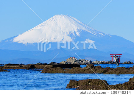 Mt. Fuji and Torii on the sea Shonan tourism 109748214