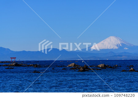 Mt. Fuji and Torii on the sea Shonan tourism 109748220