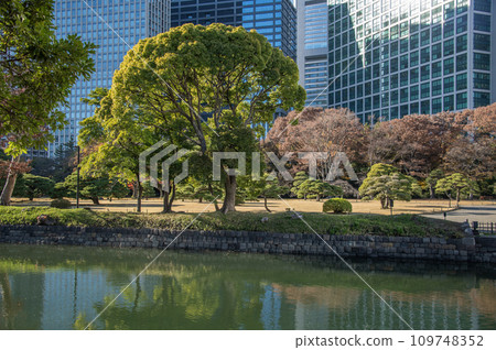 東京都中央區濱離宮公園 109748352