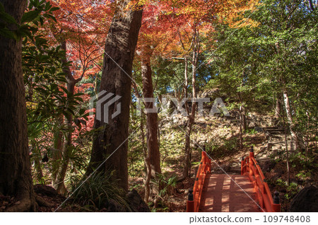 東京文京區小石川後樂園,秋葉 東京文京區小石川後樂園,秋葉 109748408
