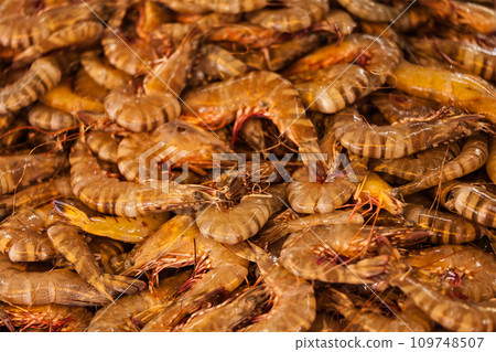 Shrimps close up Shrimps close up 109748507