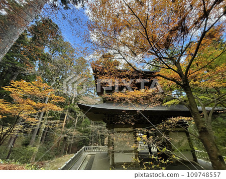 神奈川縣南足柄市大雄山西成寺，秋天，紅葉 109748557