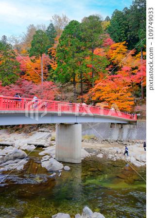 Autumn leaves and Machitsuki Bridge (vertical) 1 109749033