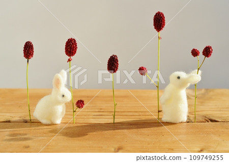 Reddish-brown flowers and felt white rabbit 109749255