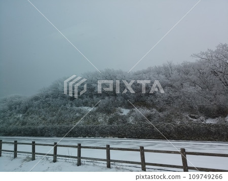 牧之峠雪景 109749266
