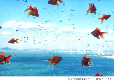 金魚在天空中游動 109750433