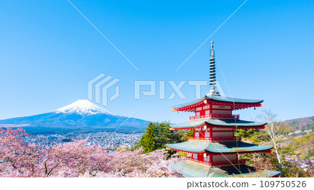 新倉山淺間公園(春季) 新倉山淺間公園(春季) 109750526