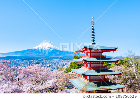 新倉山淺間公園(春季) 新倉山淺間公園(春季) 109750529