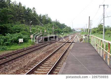 [ARCHIVE] 鷲巢站 JR 鷲巢站 鷲巢信號站 H53 鷲巢 2016 年 3 月關閉 109750893