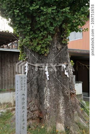 愛媛縣內子町的復古街景@八幡神社 愛媛縣內子町的復古街景@八幡神社 109751658