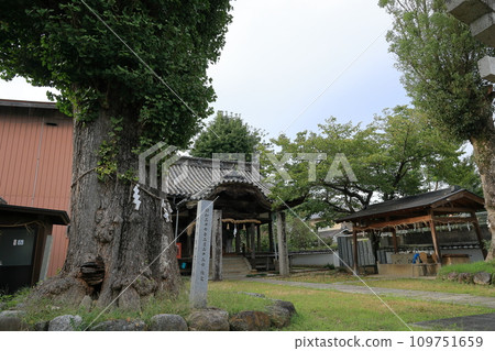 愛媛縣內子町的復古街景@八幡神社 109751659