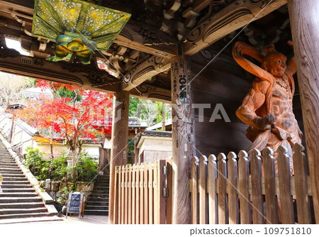 位於世界遺產彌山山麓的大聖院，秋葉，廣島縣宮島仁王門 109751810