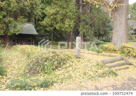 神奈川縣橫濱市金澤區稱名寺和稱名寺的冬天 神奈川縣橫濱市金澤區稱名寺和稱名寺的冬天 109752474