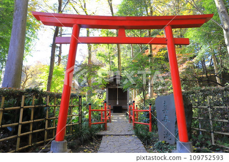 Masugata no Ike Yusuigun Torii Masugata no Ike Yusuigun Torii 109752593