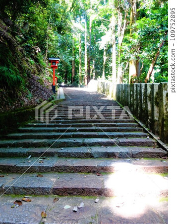 [日本] 鞍馬山的石階（京都） 109752895